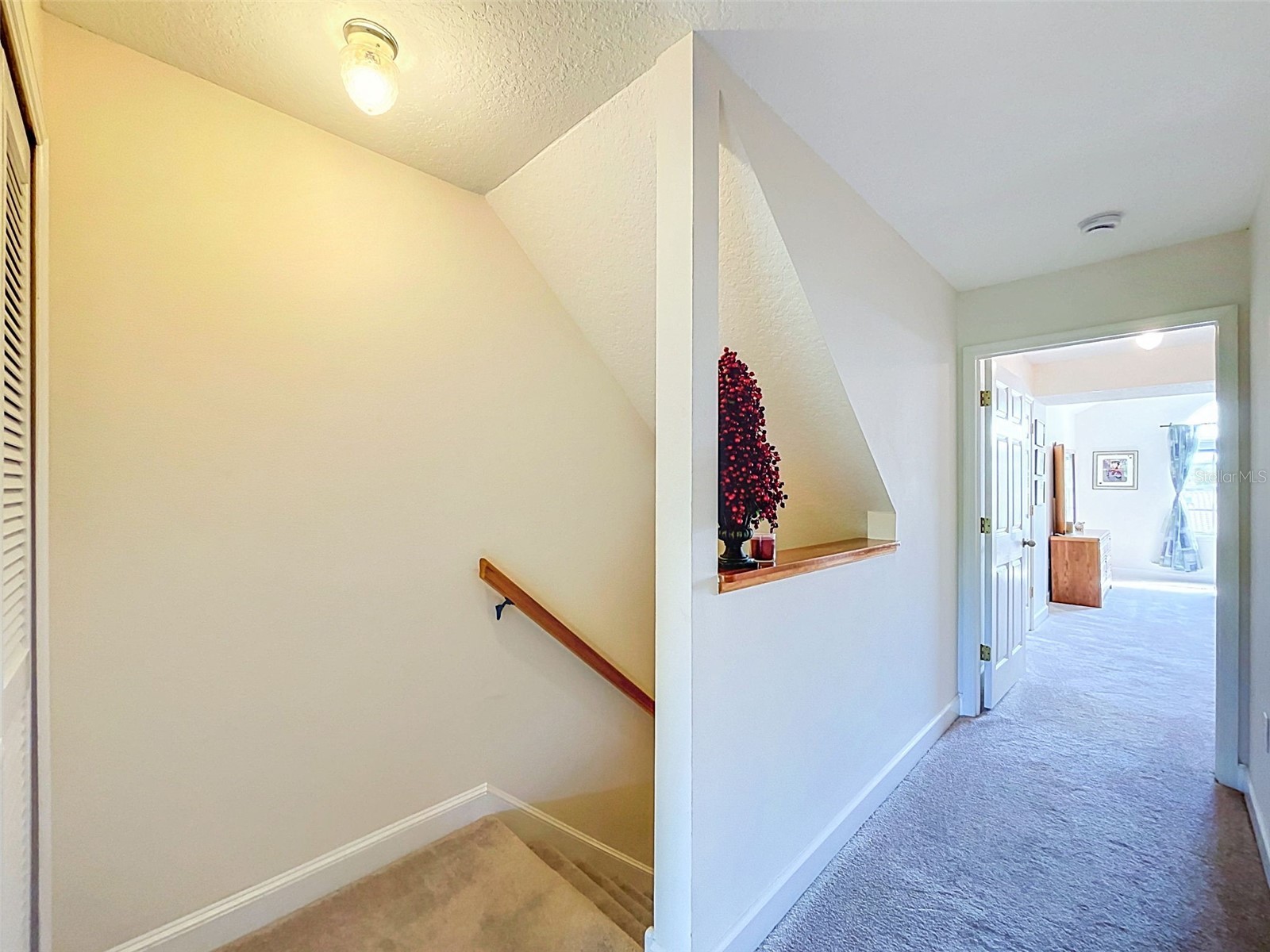 1722 Arabian Lane Palm Harbor FL 34685 TB8523699 image51