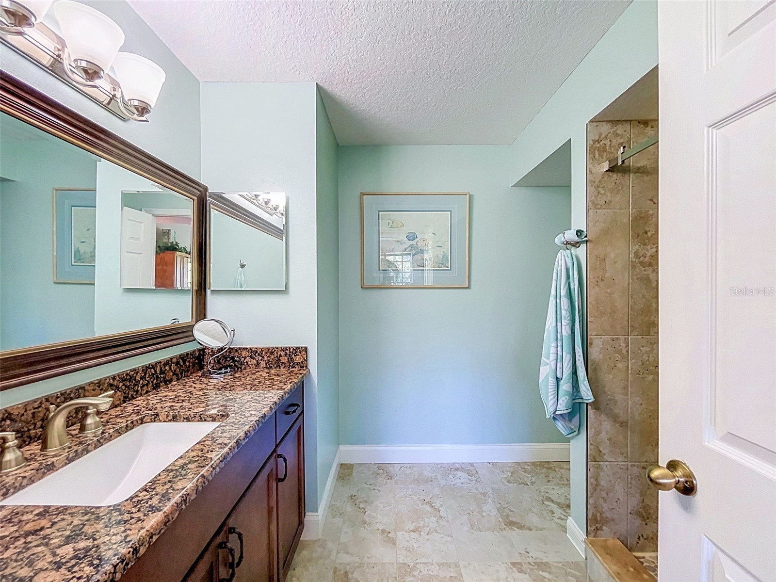 1722 Arabian Lane Palm Harbor FL 34685 TB8523699 image58