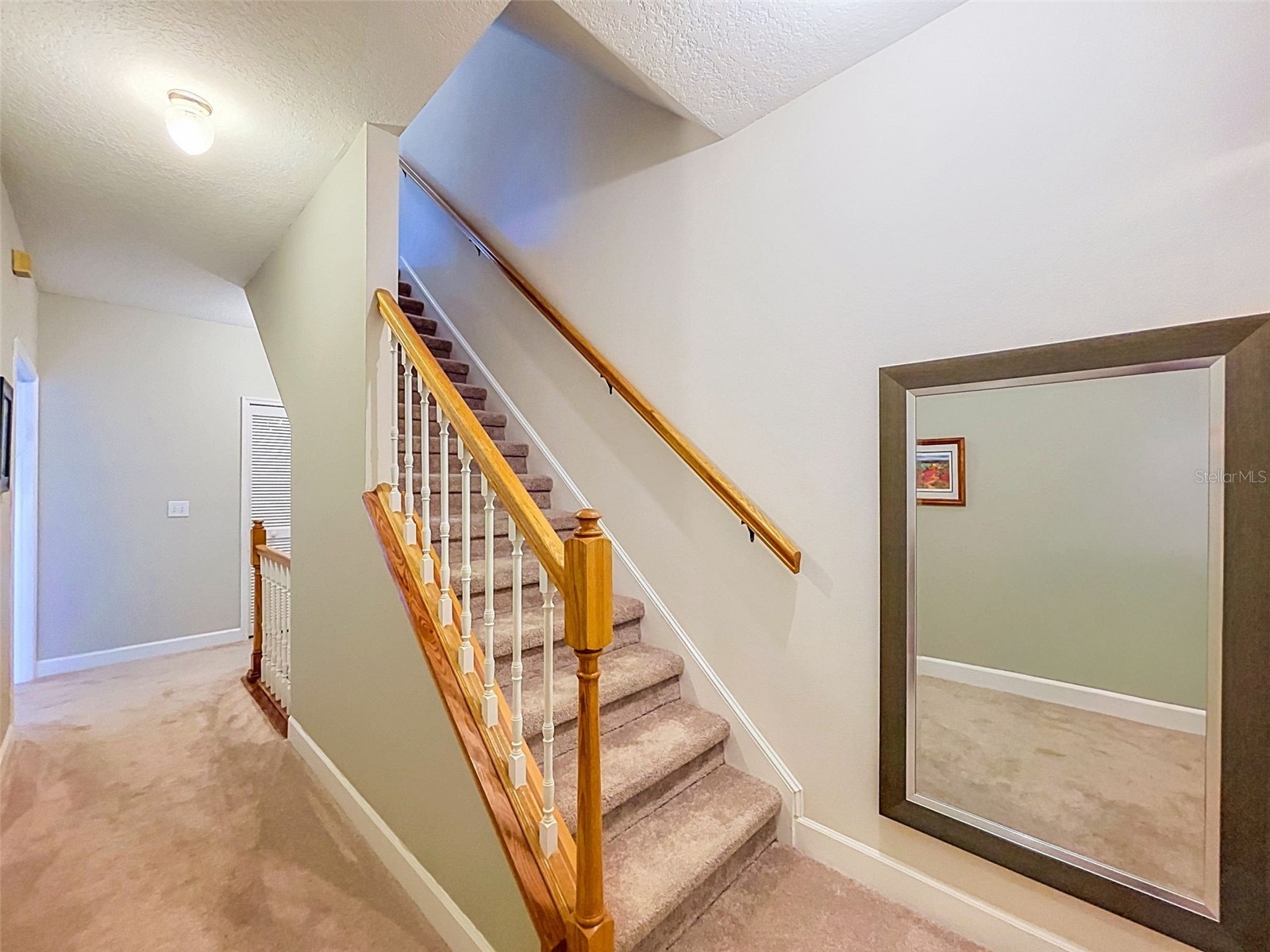 1722 Arabian Lane Palm Harbor FL 34685 TB8523699 image62