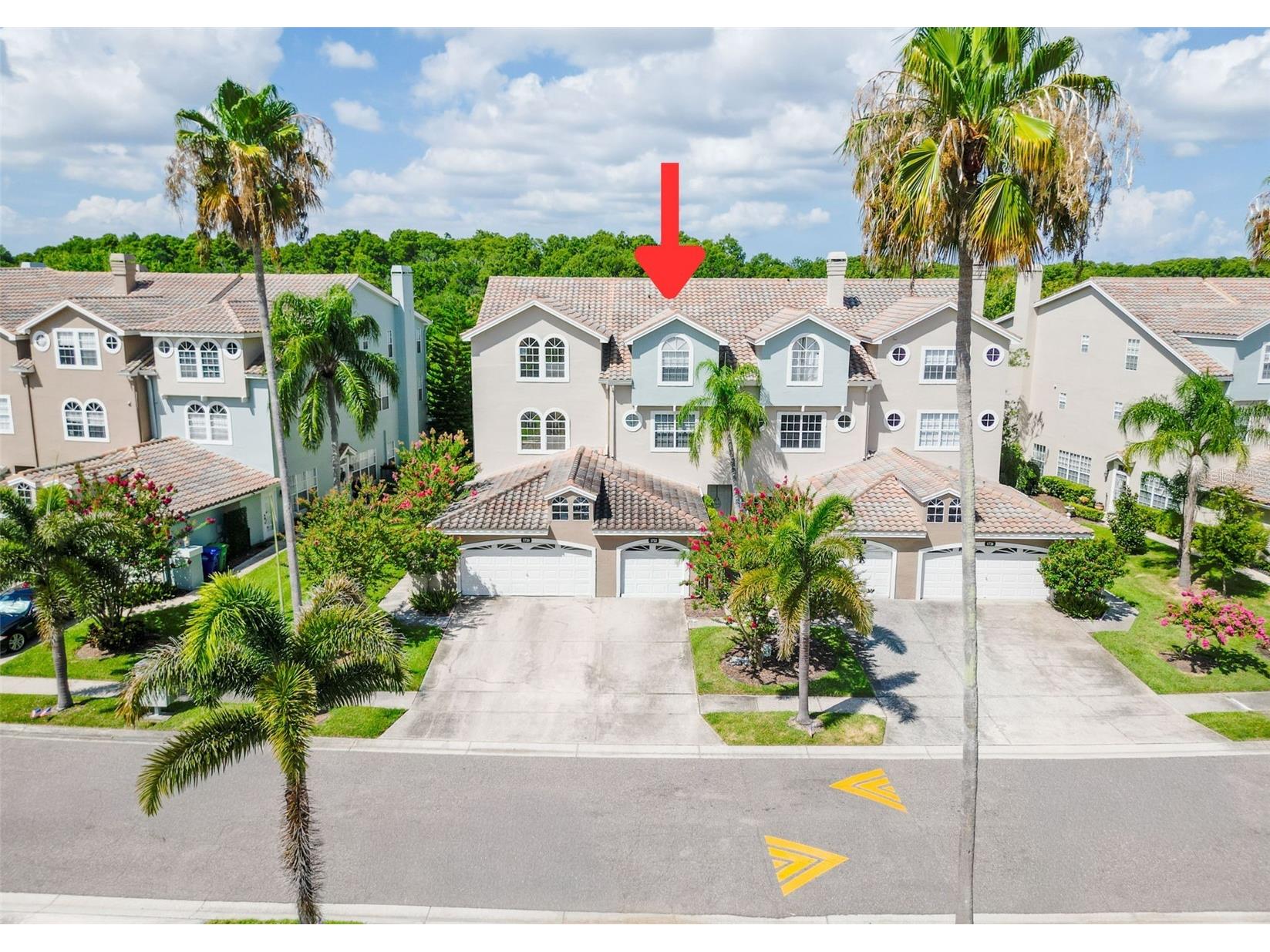 1722 Arabian Lane Palm Harbor FL 34685 TB8523699 image72