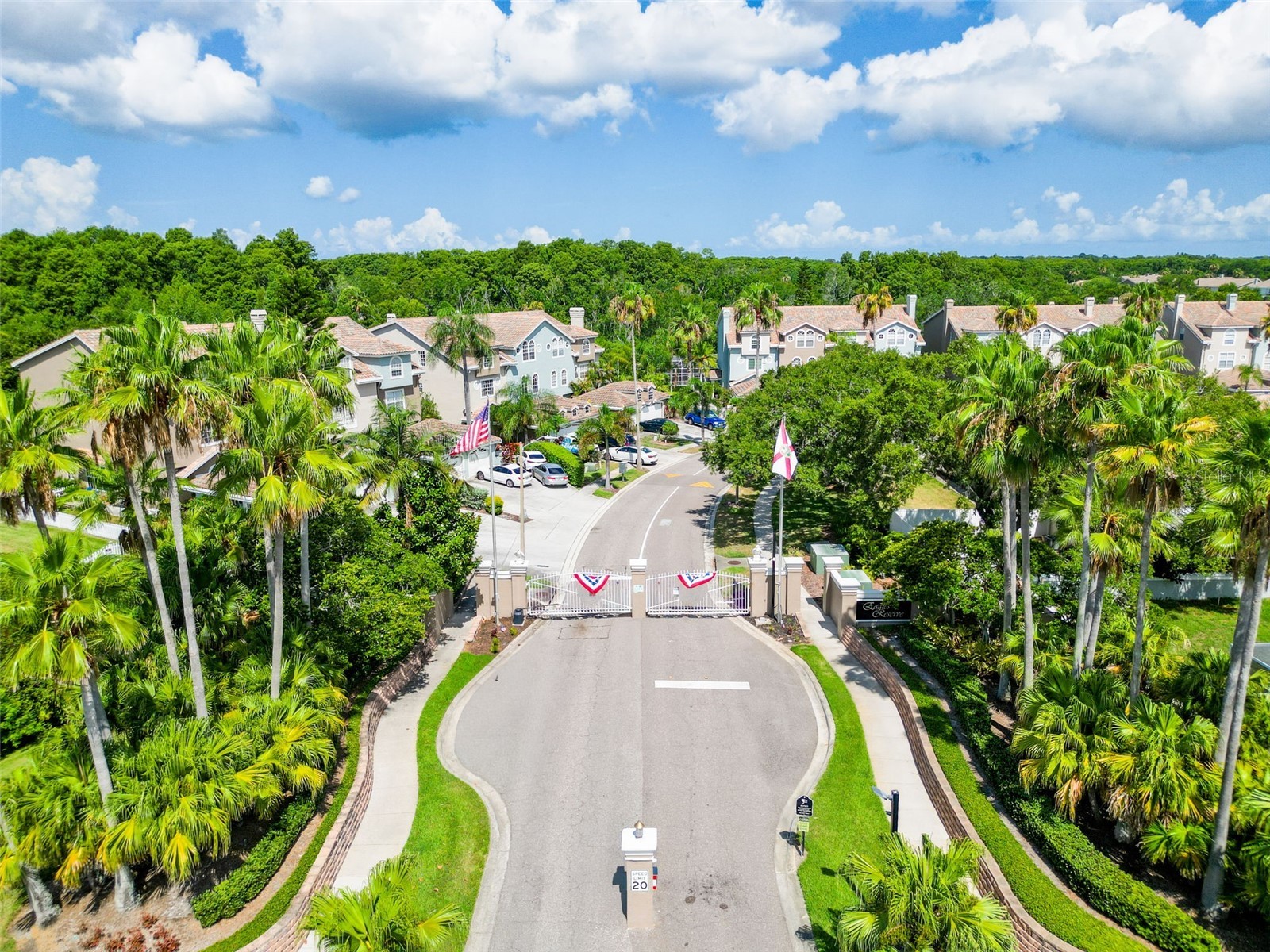 1722 Arabian Lane Palm Harbor FL 34685 TB8523699 image73