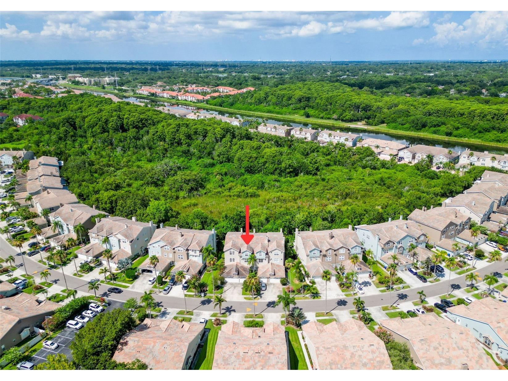 1722 Arabian Lane Palm Harbor FL 34685 TB8523699 image76