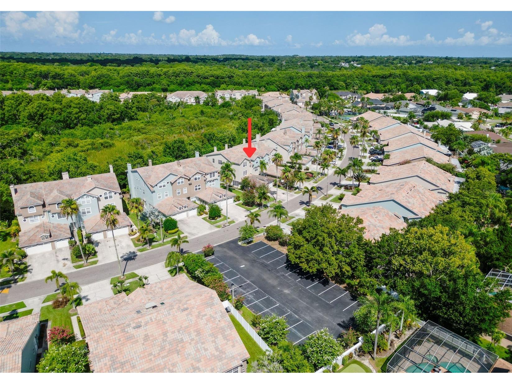 1722 Arabian Lane Palm Harbor FL 34685 TB8523699 image78