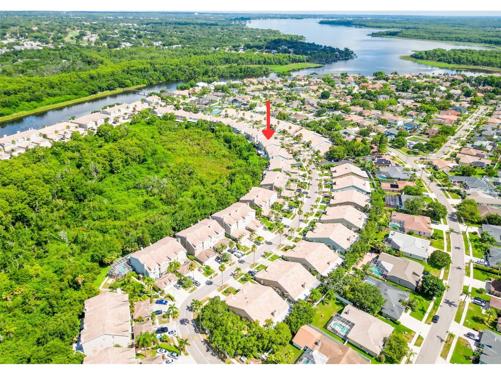 1722 Arabian Lane Palm Harbor FL 34685 TB8523699 image79