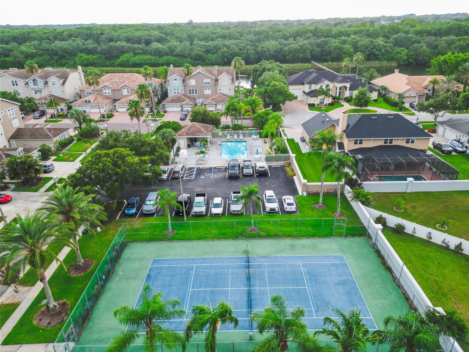 1722 Arabian Lane Palm Harbor FL 34685 TB8523699 image82