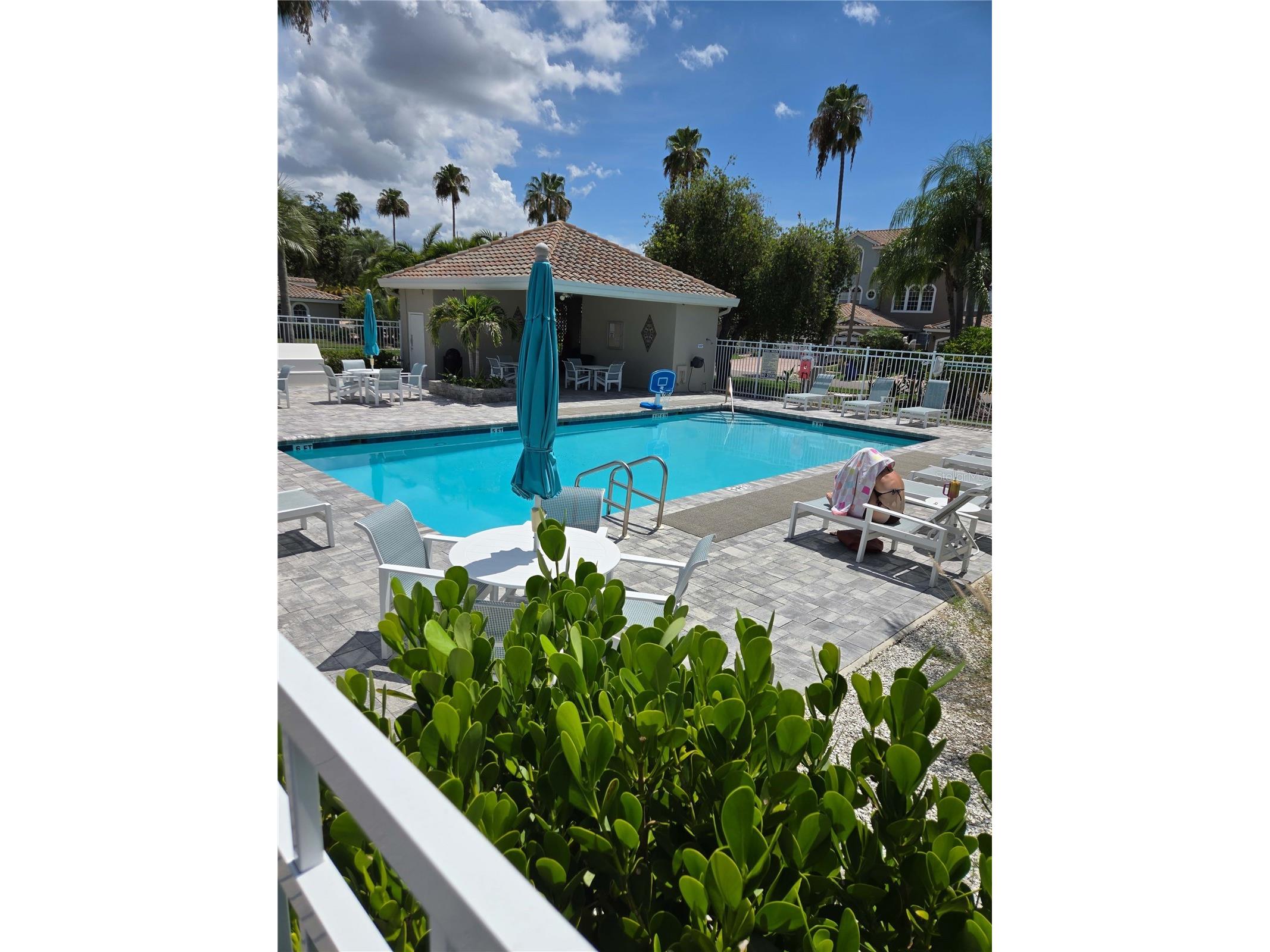 1722 Arabian Lane Palm Harbor FL 34685 TB8523699 image89