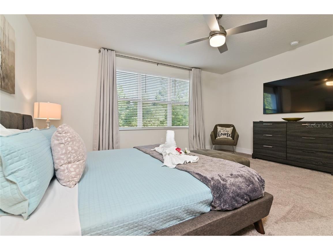 17220 Blessing Drive Clermont FL 34714 S5121979 image28