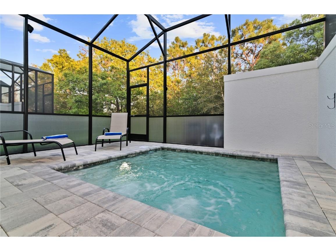 17220 Blessing Drive Clermont FL 34714 S5121979 image3