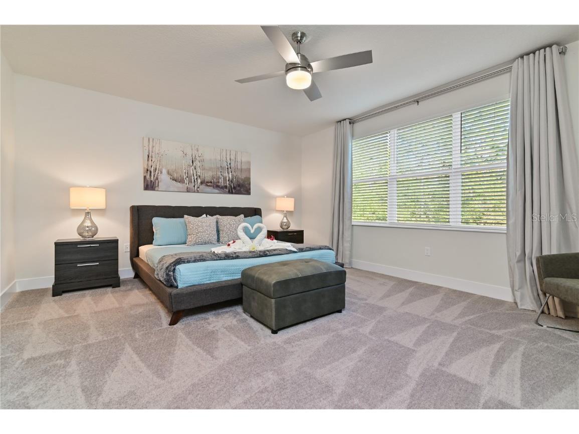 17220 Blessing Drive Clermont FL 34714 S5121979 image6