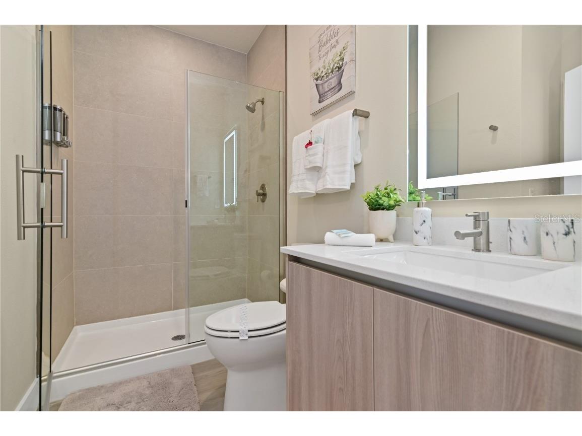 17220 Blessing Drive Clermont FL 34714 S5121979 image9