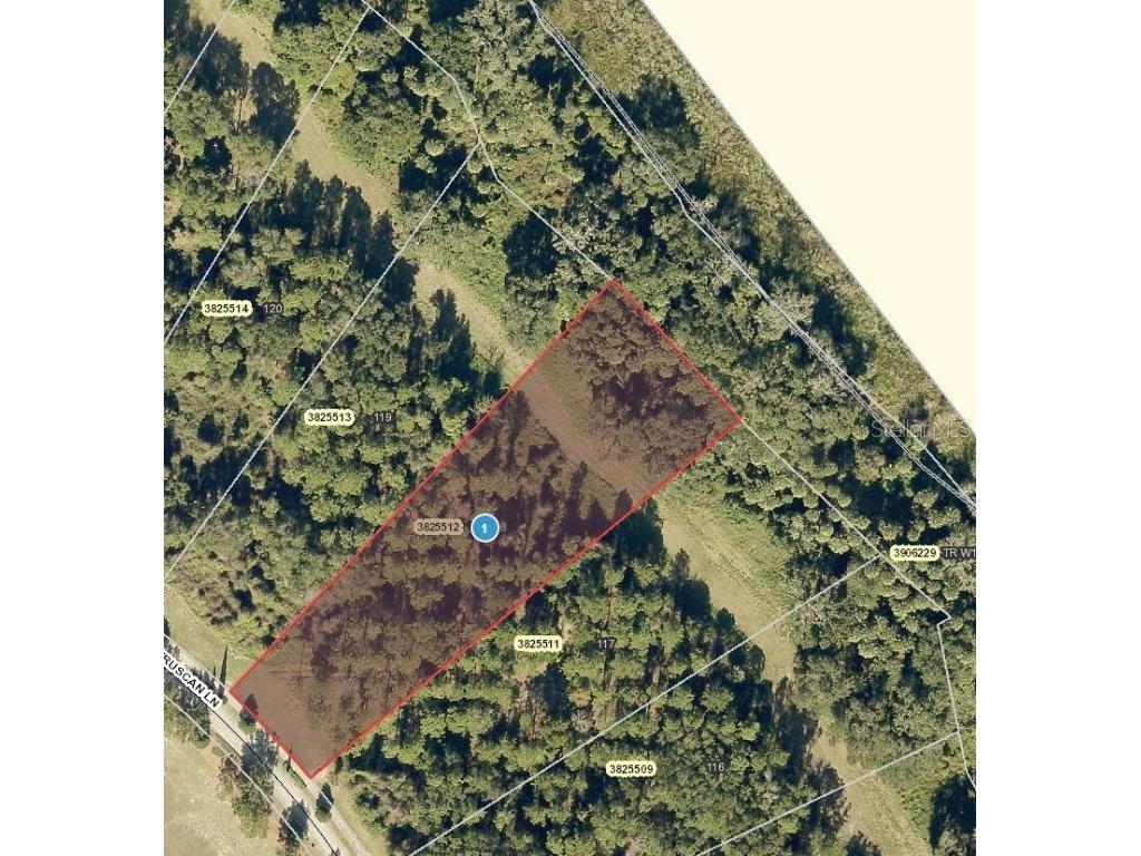 17221 Etruscan Lane Montverde FL 34756 - LAKE APOPKA G5078577 image1