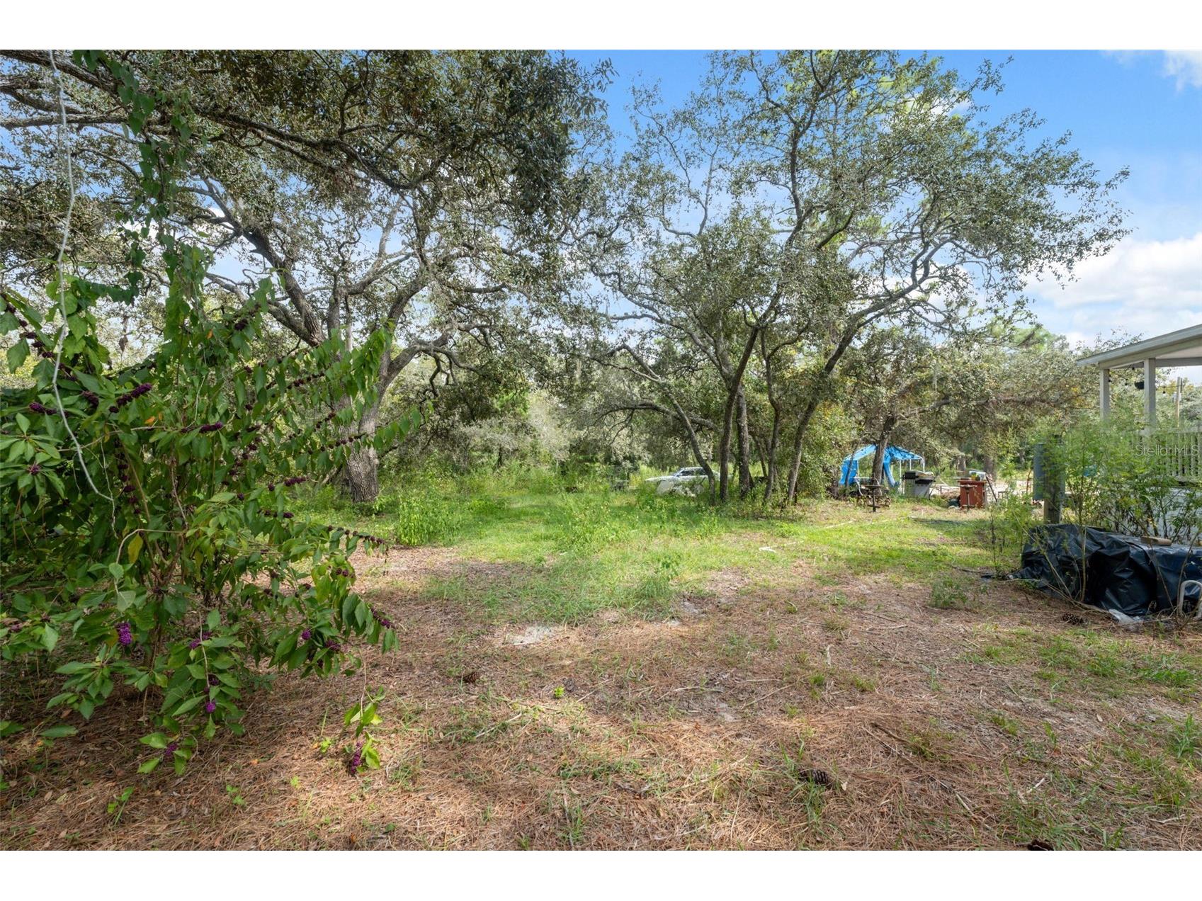 17221 Nicks Drive Spring Hill FL 34610 W7882931 image21