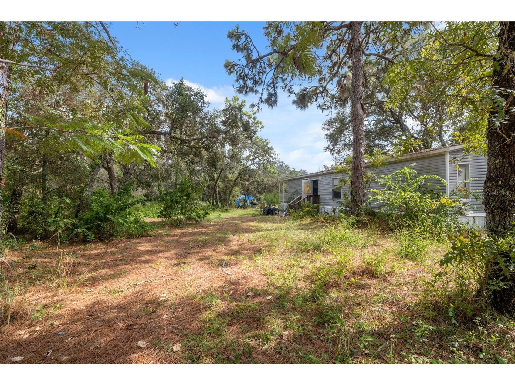 17221 Nicks Drive Spring Hill FL 34610 W7882931 image24