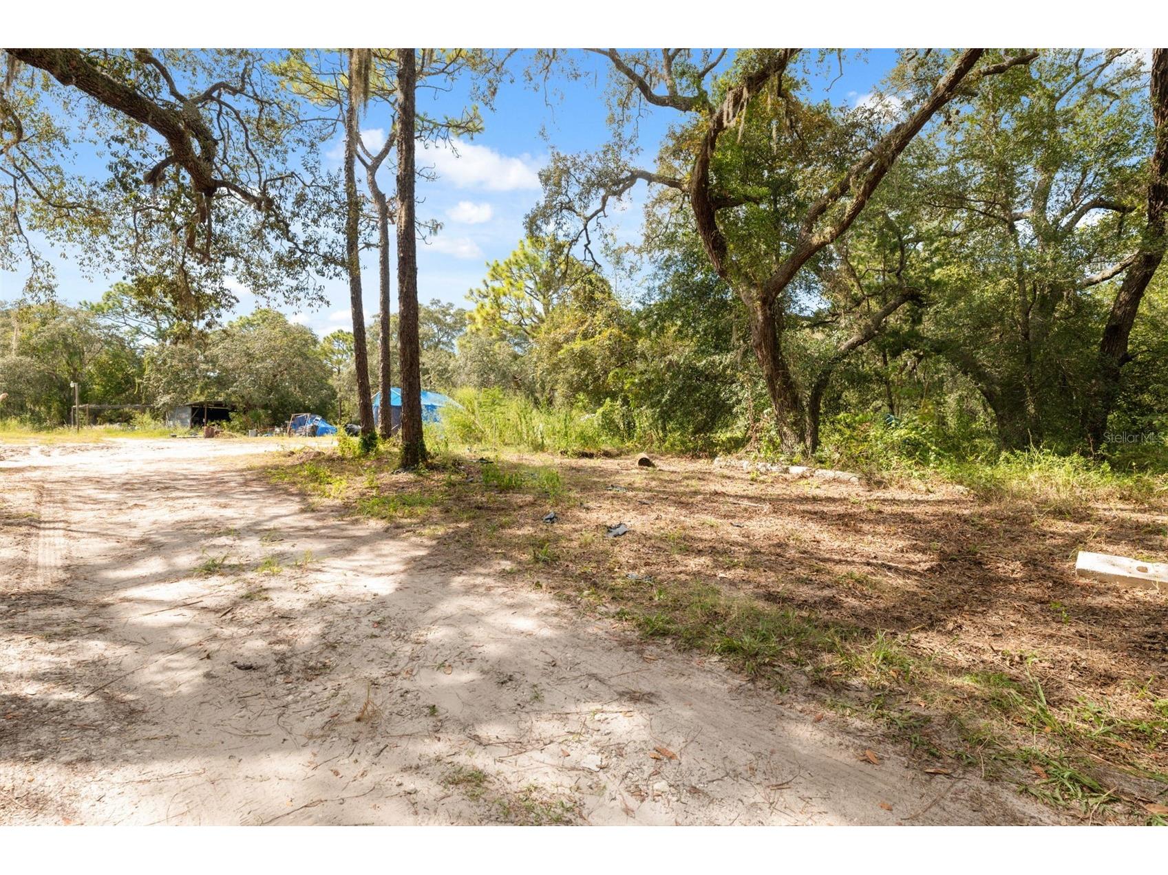 17221 Nicks Drive Spring Hill FL 34610 W7882931 image26