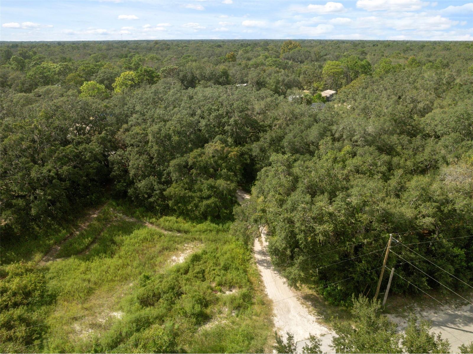 17221 Nicks Drive Spring Hill FL 34610 W7882931 image27