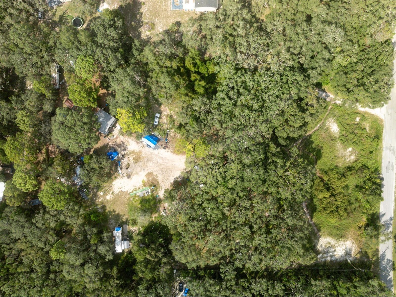 17221 Nicks Drive Spring Hill FL 34610 W7882931 image28