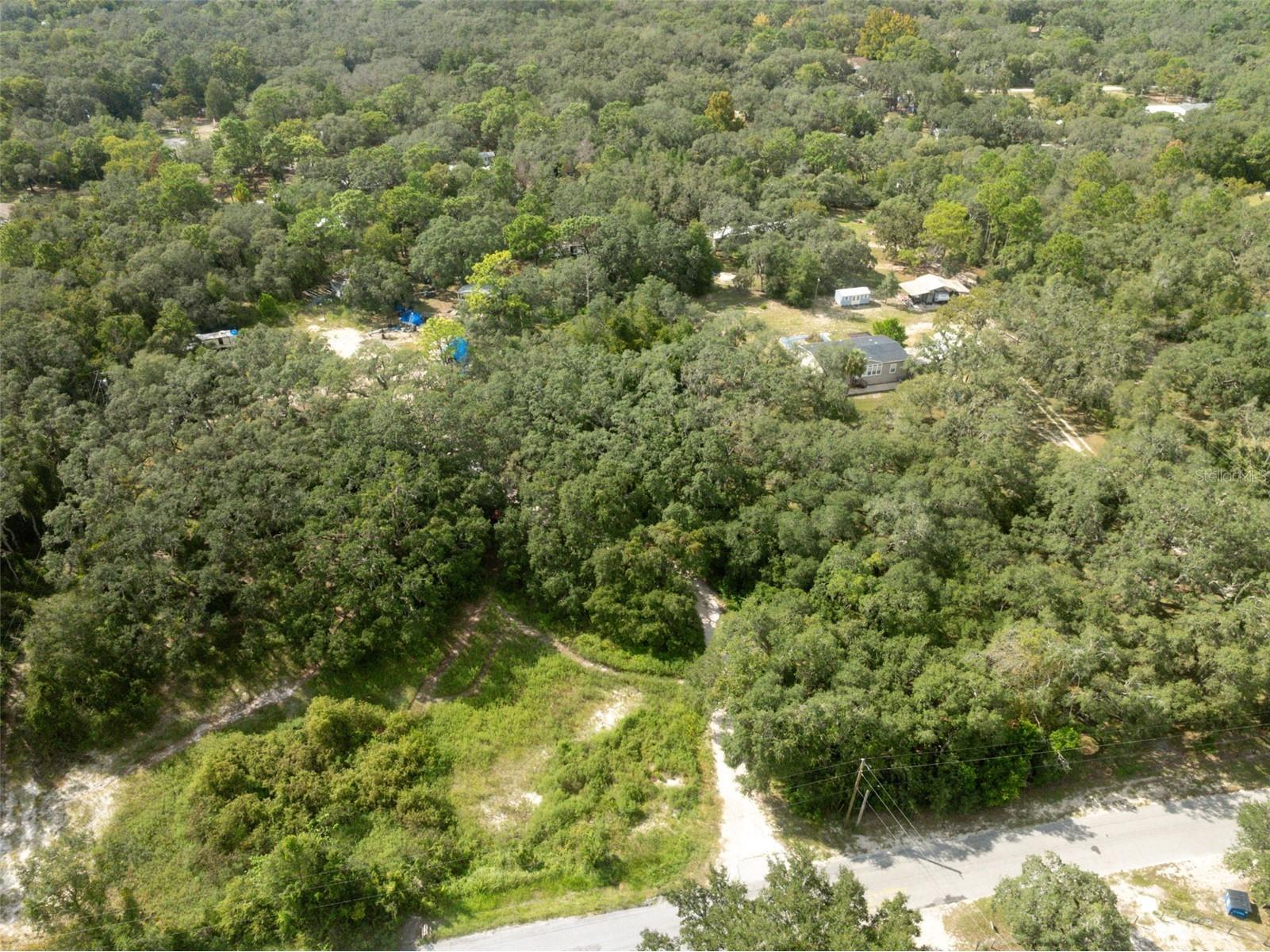 17221 Nicks Drive Spring Hill FL 34610 W7882931 image29