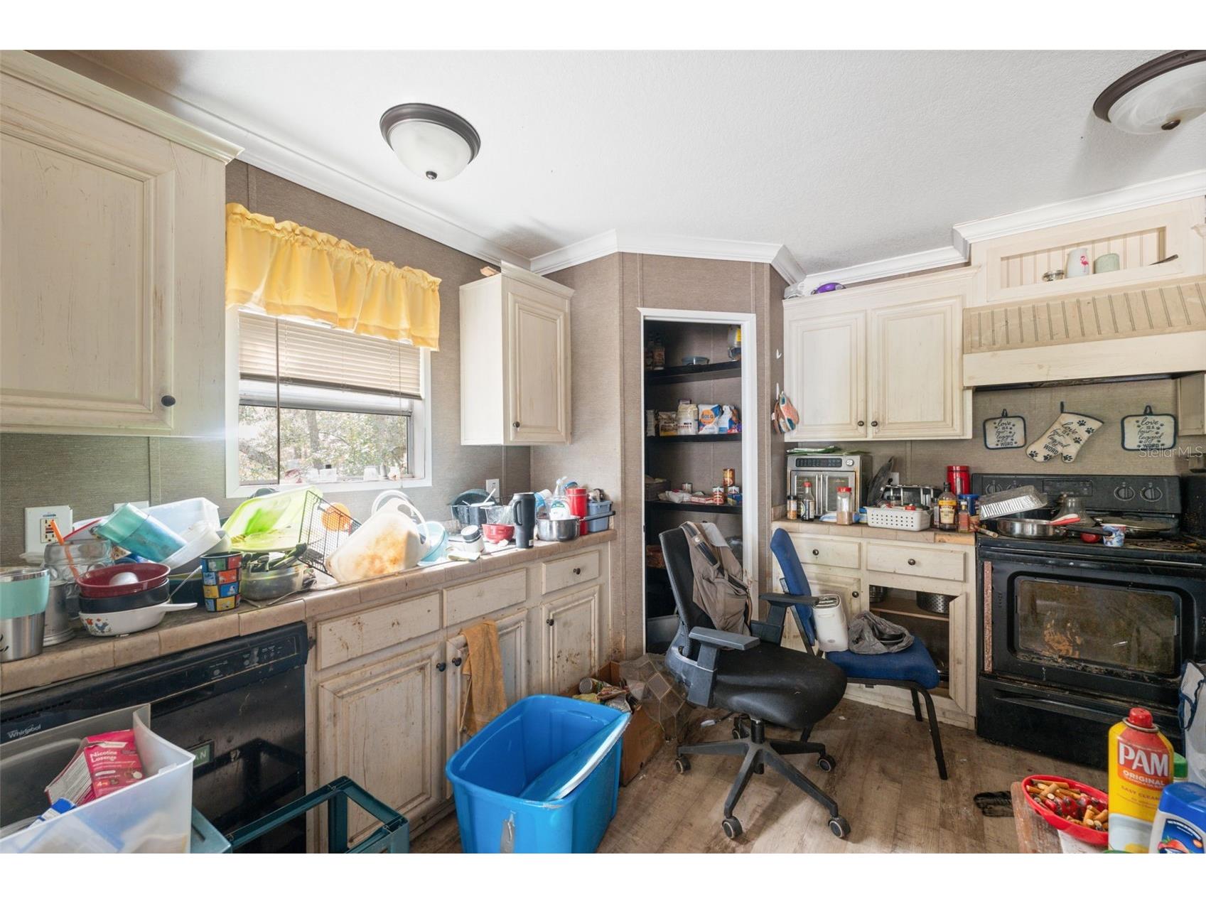 17221 Nicks Drive Spring Hill FL 34610 W7882931 image7