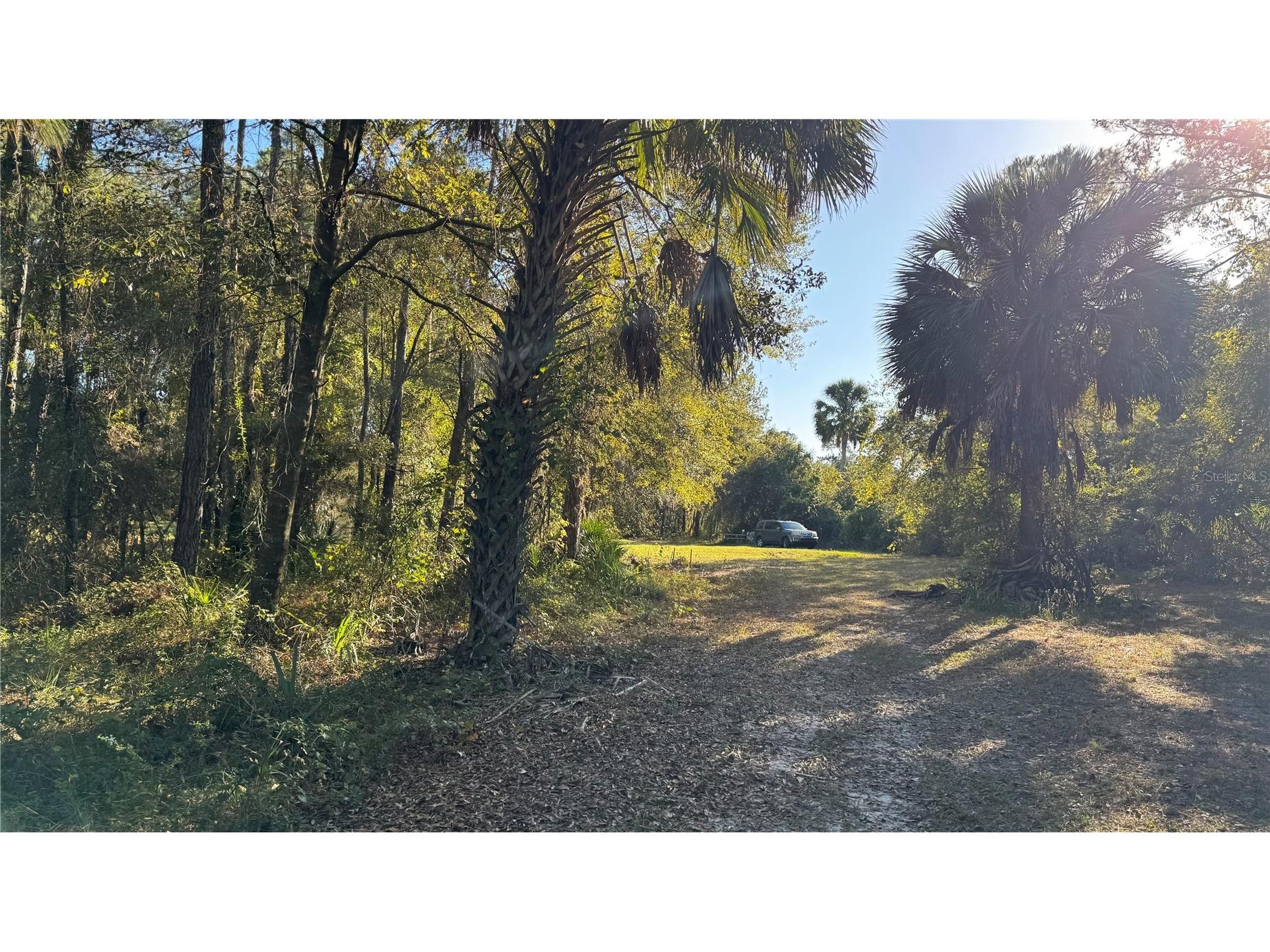 17221 SE 95th Street Road Ocklawaha FL 32179 O6384490 image1