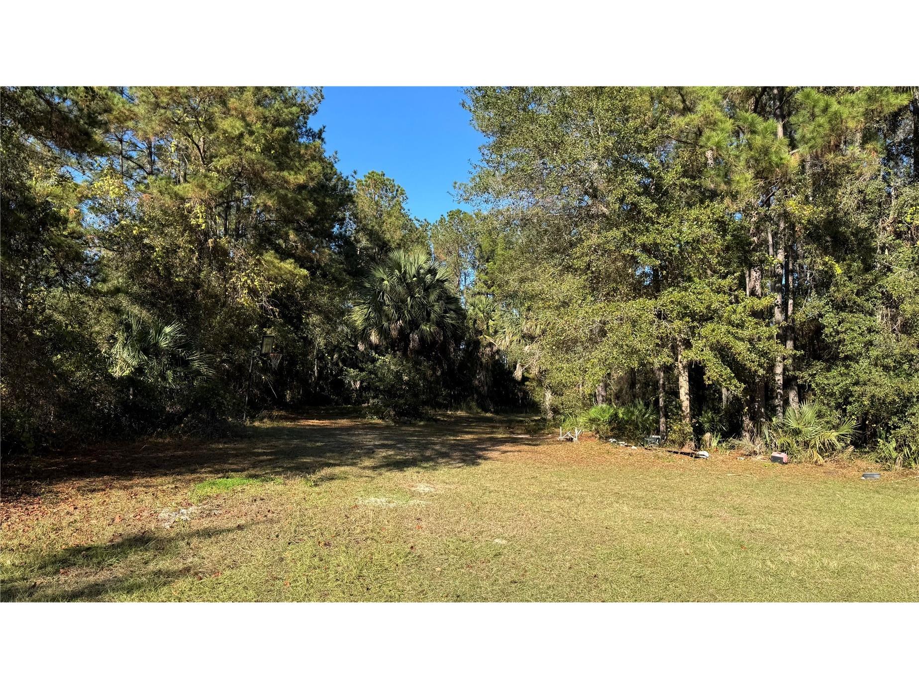 17221 SE 95th Street Road Ocklawaha FL 32179 O6384490 image4