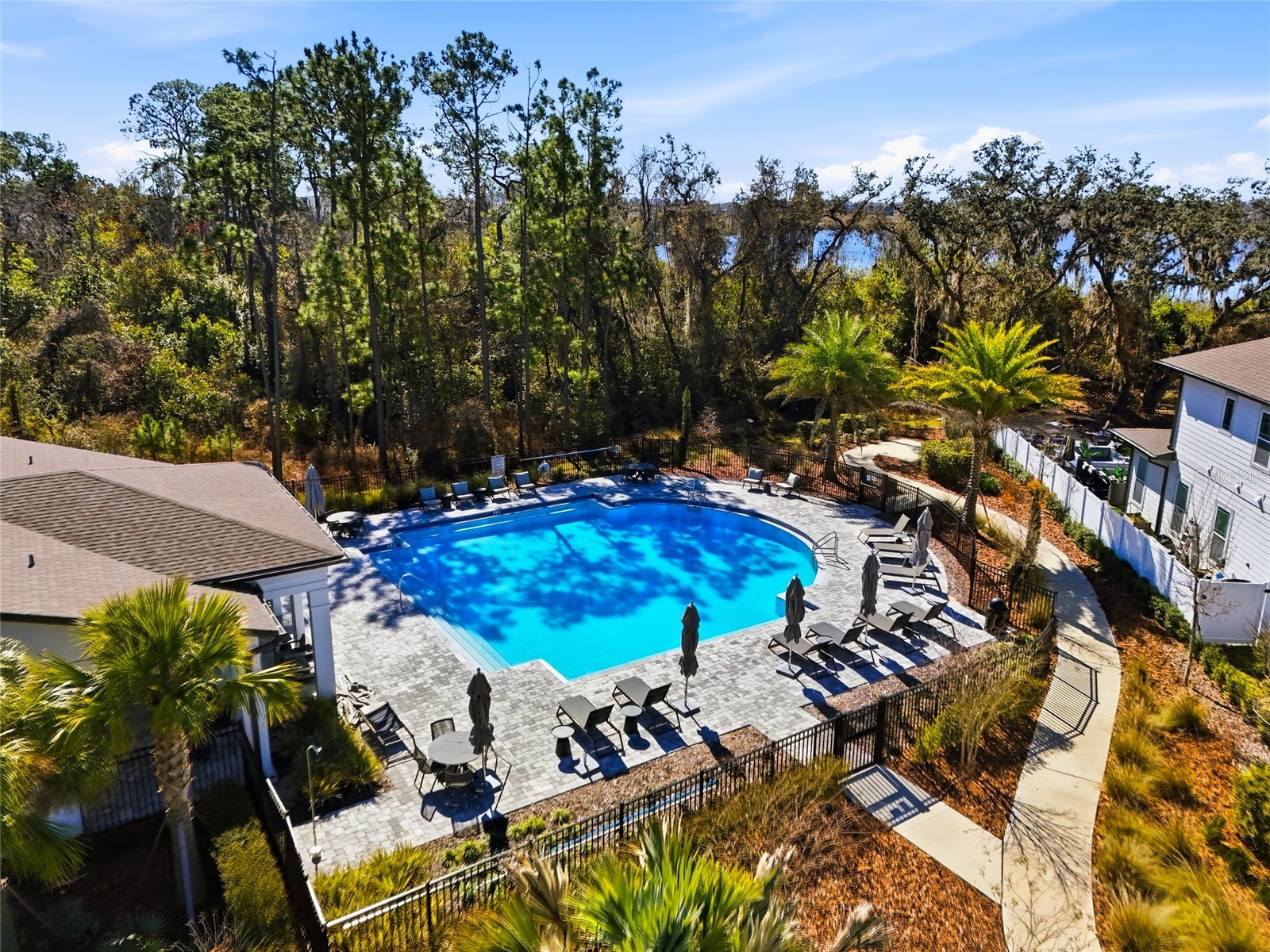 17222 Dancy Orange Court Winter Garden FL 34787 O6383910 image53