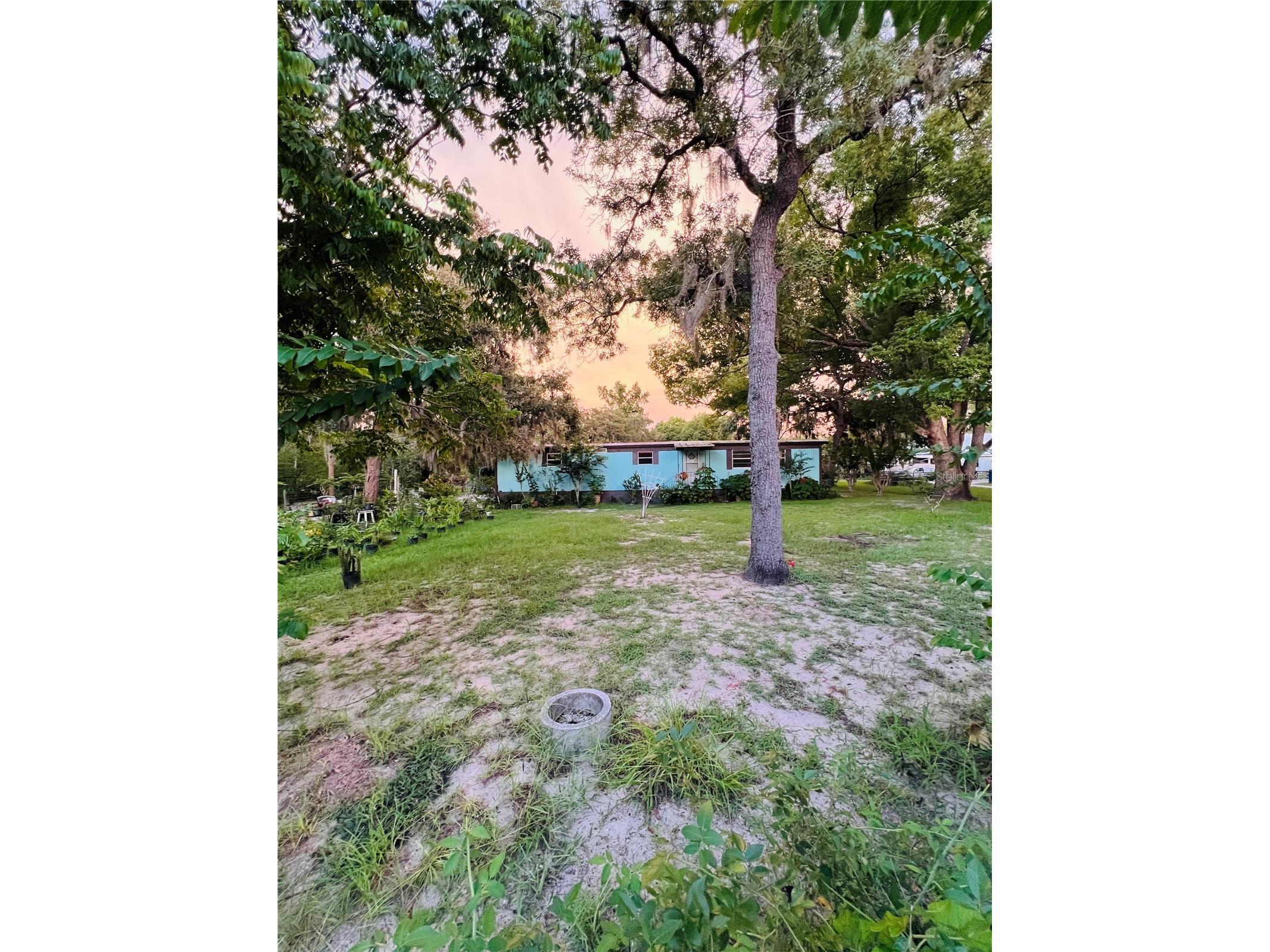 17222 Dansville Drive Spring Hill FL 34610 TB8417905 image1