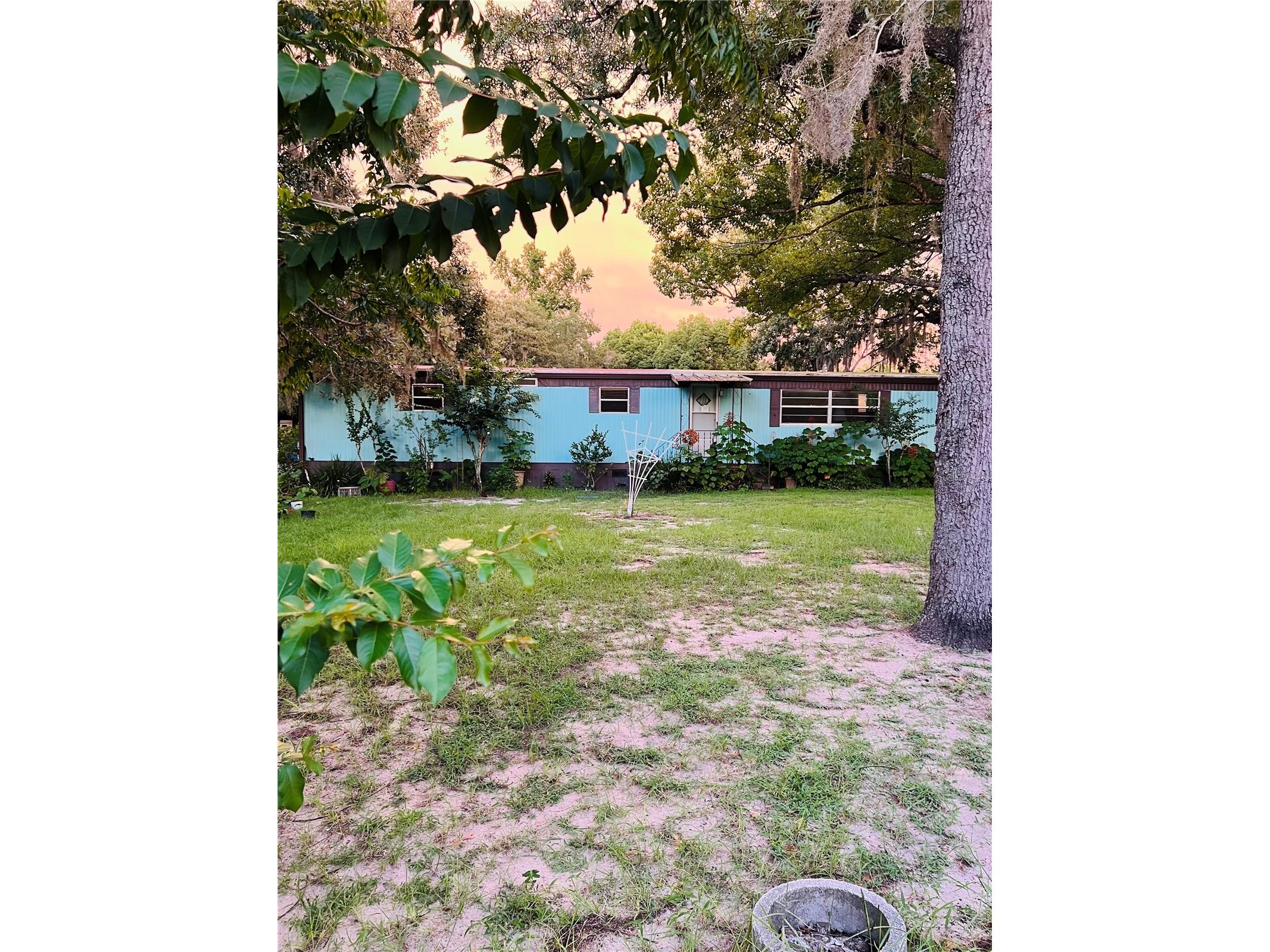 17222 Dansville Drive Spring Hill FL 34610 TB8417905 image2