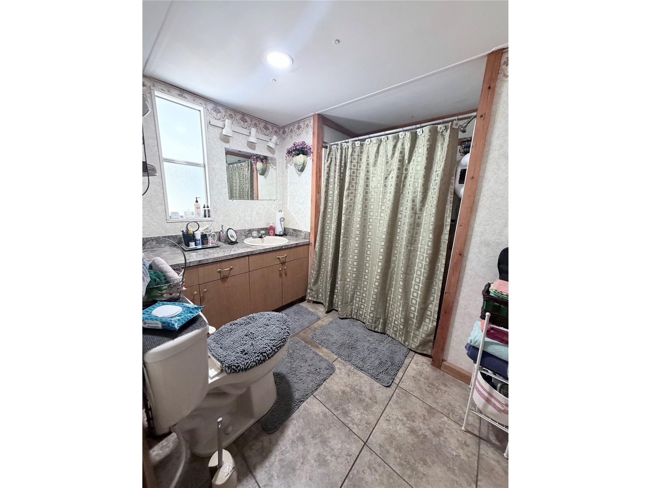 17222 Dansville Drive Spring Hill FL 34610 TB8417905 image20