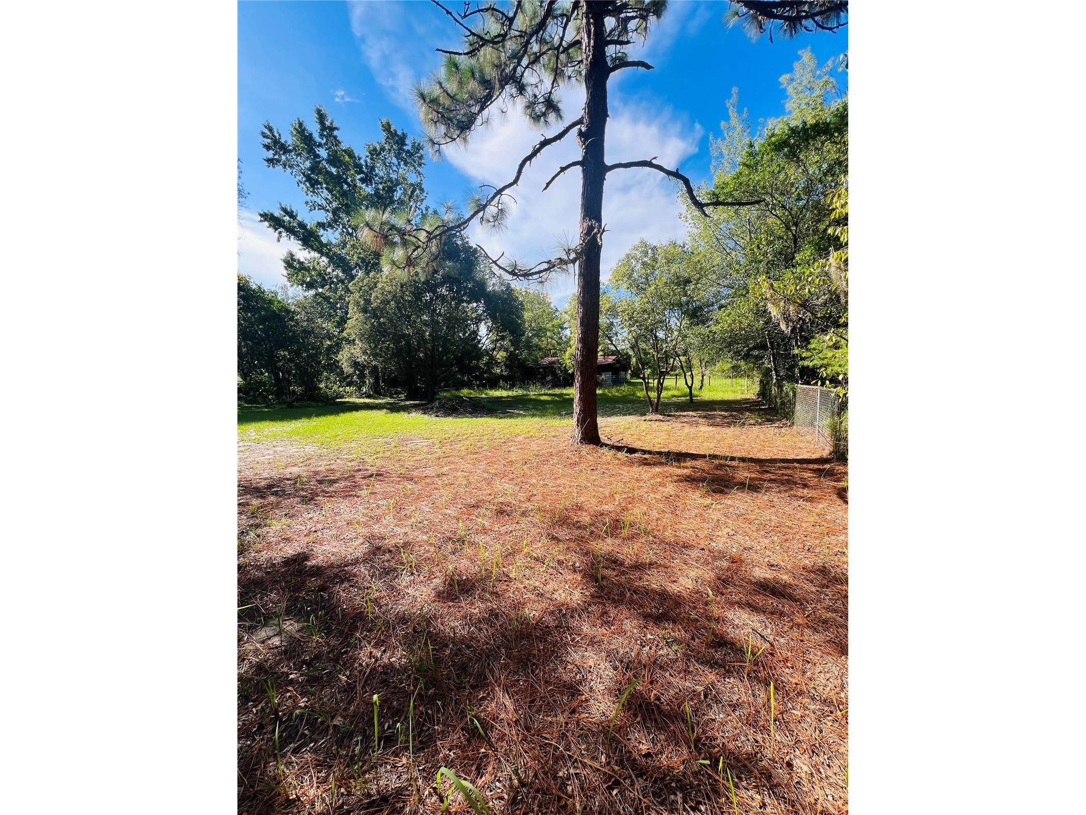 17222 Dansville Drive Spring Hill FL 34610 TB8417905 image34