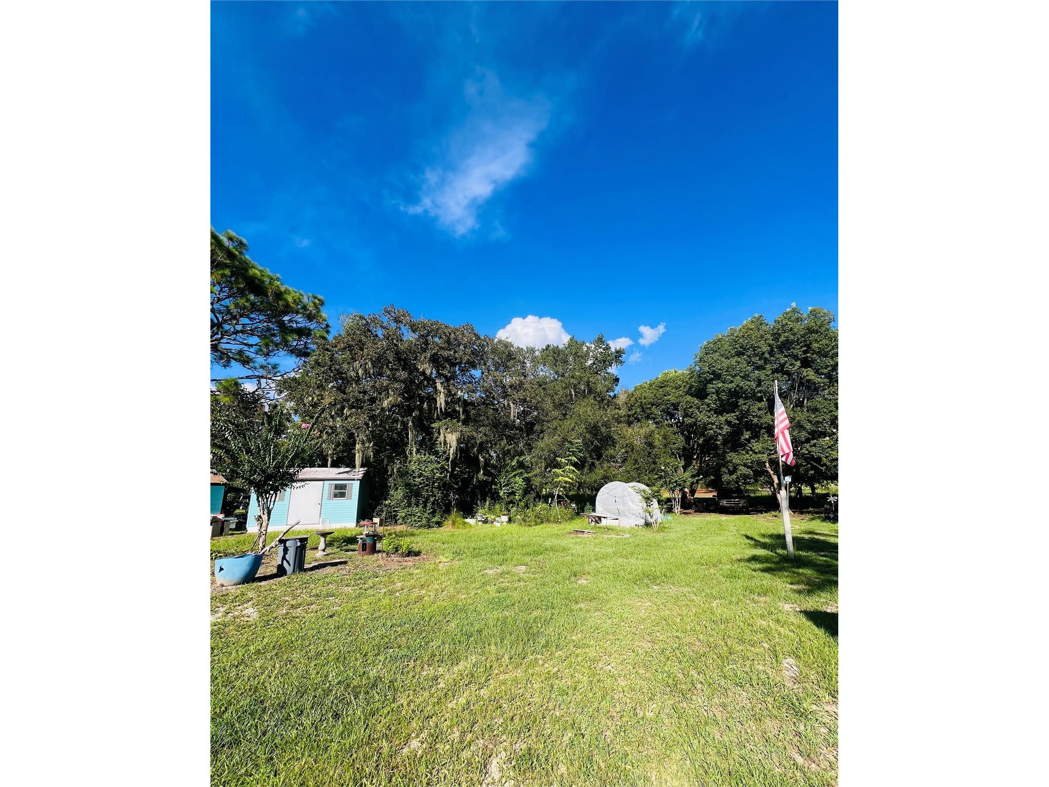 17222 Dansville Drive Spring Hill FL 34610 TB8417905 image36