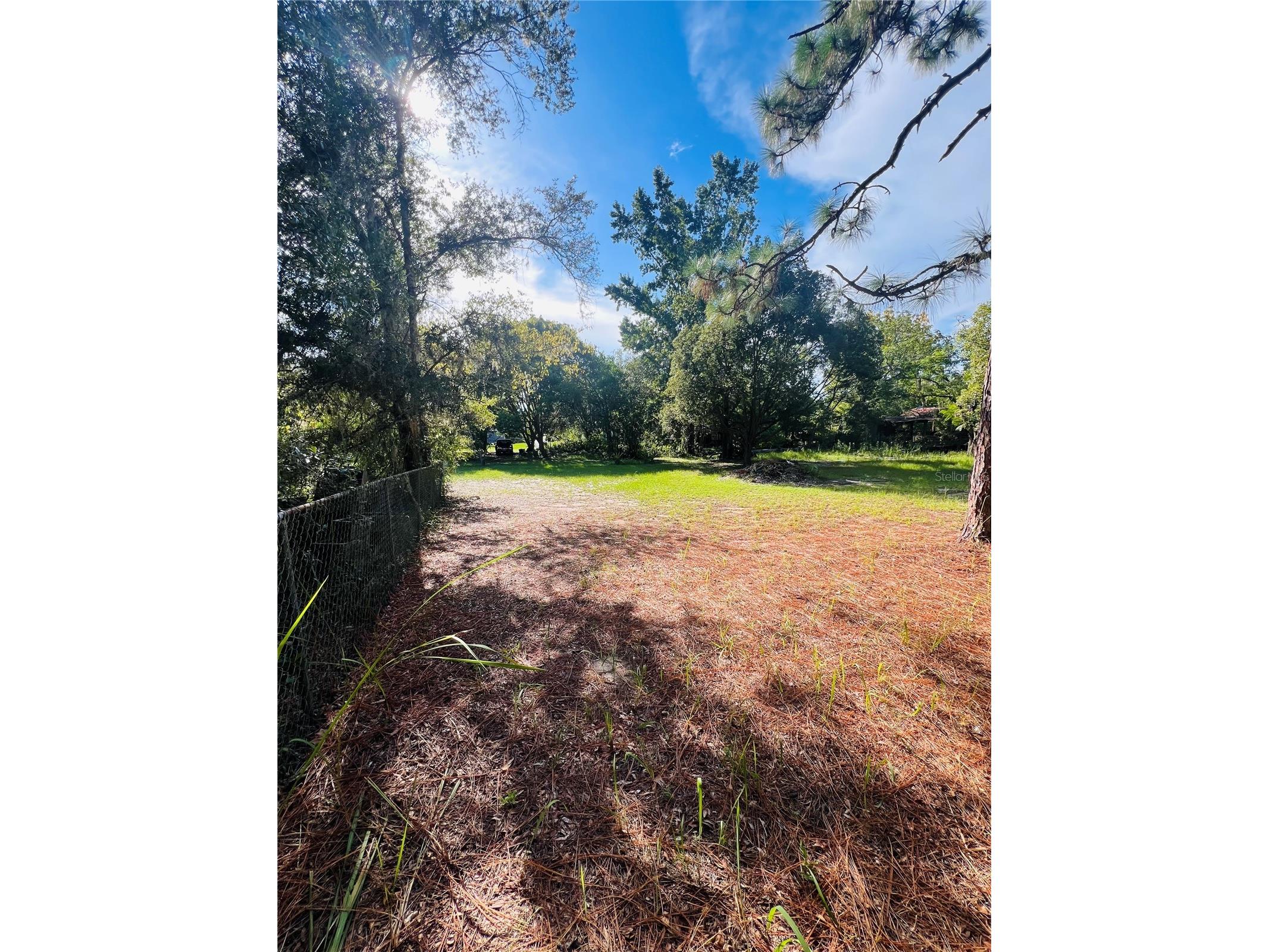 17222 Dansville Drive Spring Hill FL 34610 TB8417905 image38