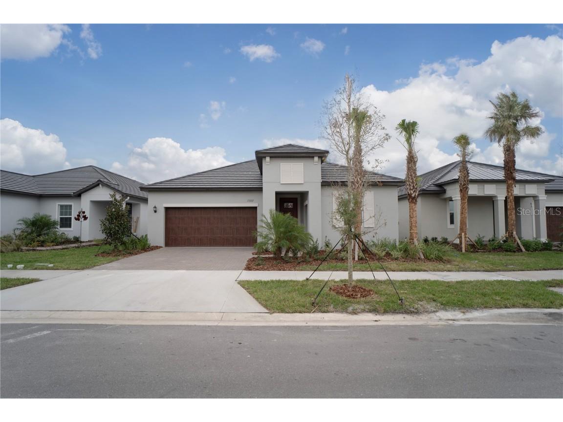 17222 Mango Shay Court Land O Lakes FL 34638 T3488234 image1