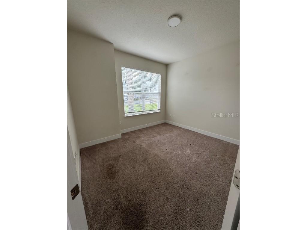 17223 Blessing Drive #17223 Clermont FL 34714 S5138638 image4