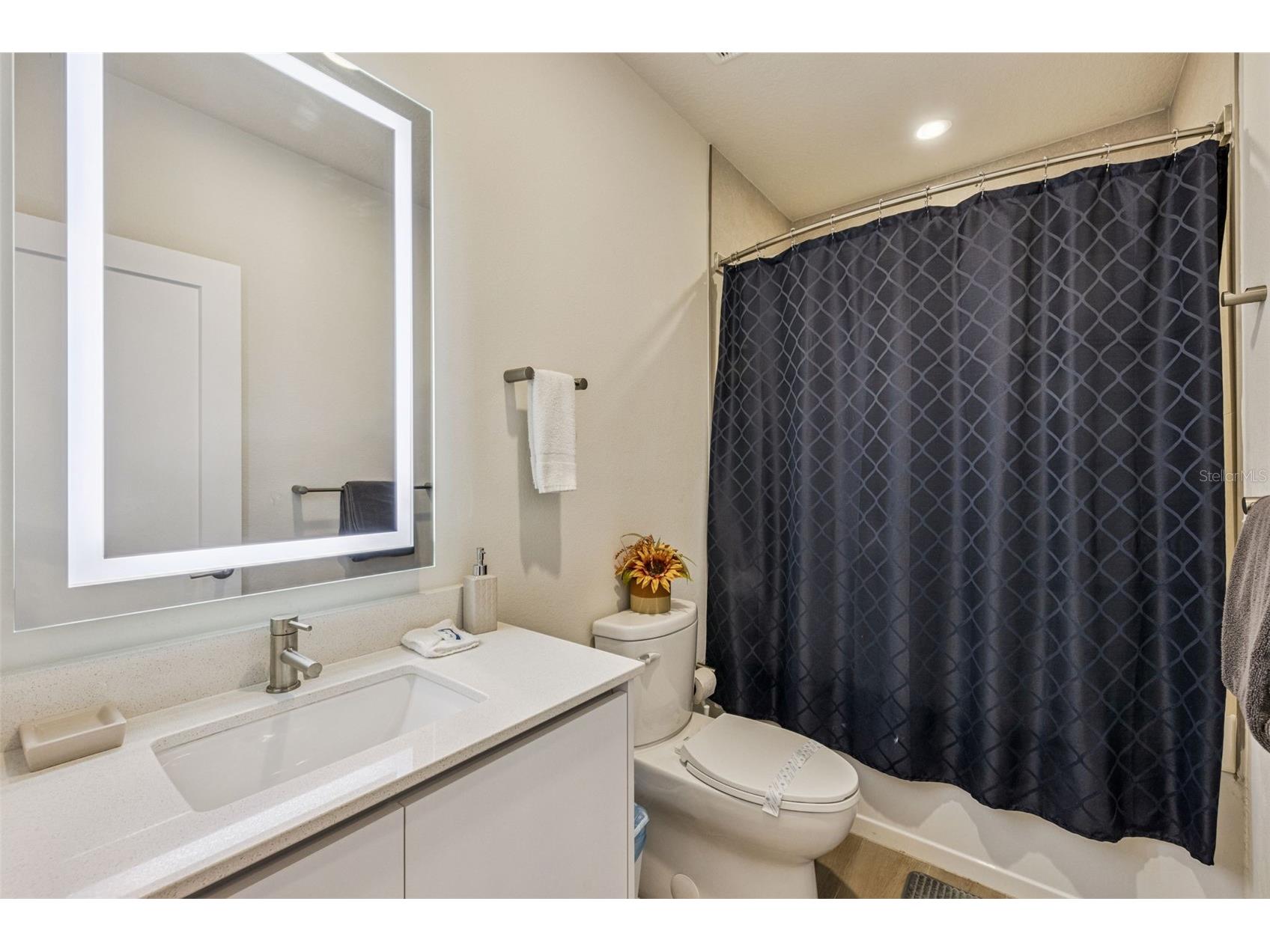 17226 Blessing Drive Clermont FL 34714 O6393799 image21