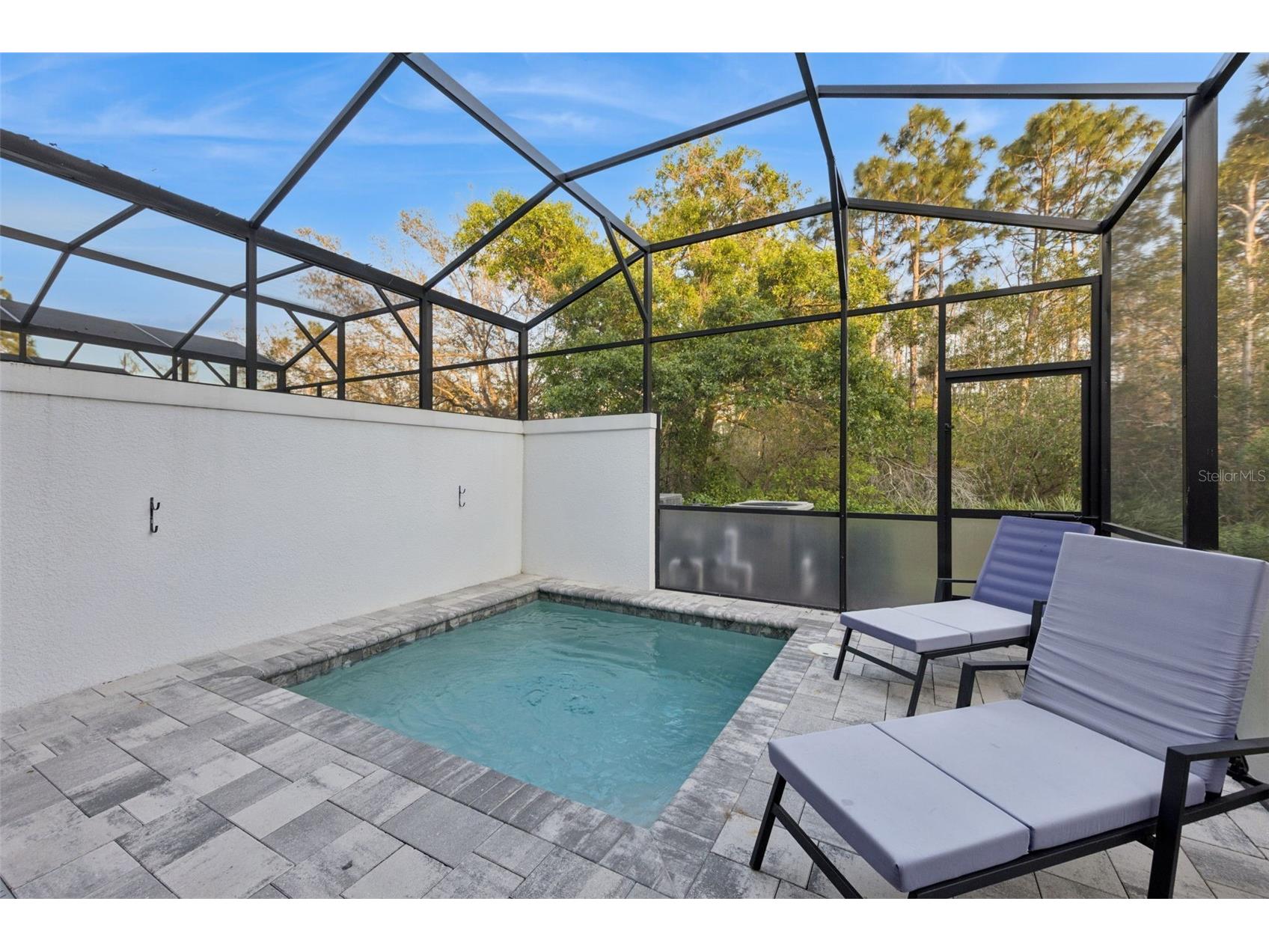 17226 Blessing Drive Clermont FL 34714 O6393799 image25