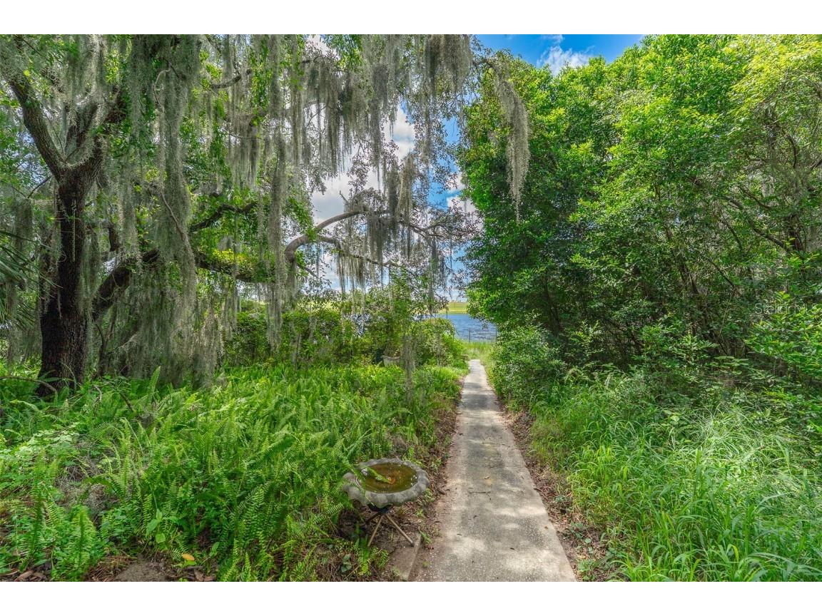 17226 Lake Ingram Road Winter Garden FL 34787 - LAKE INGRAM O6336040 image27