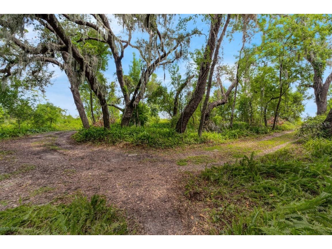 17226 Lake Ingram Road Winter Garden FL 34787 - LAKE INGRAM O6336040 image30