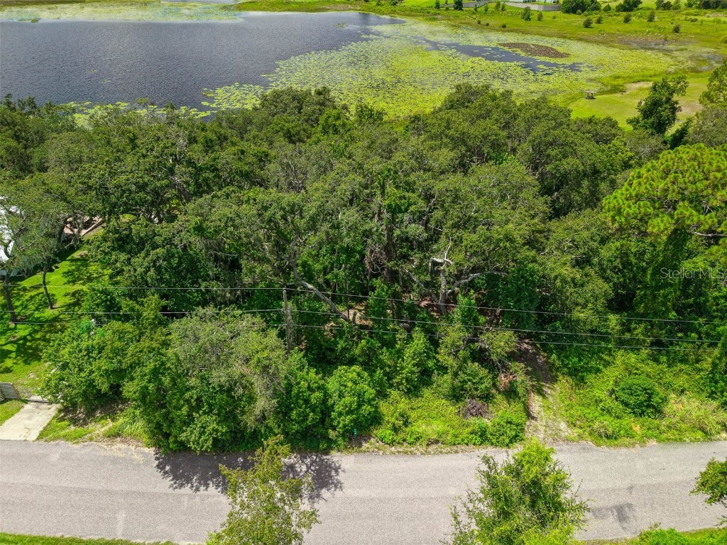 17226 Lake Ingram Road Winter Garden FL 34787 - LAKE INGRAM O6336040 image38