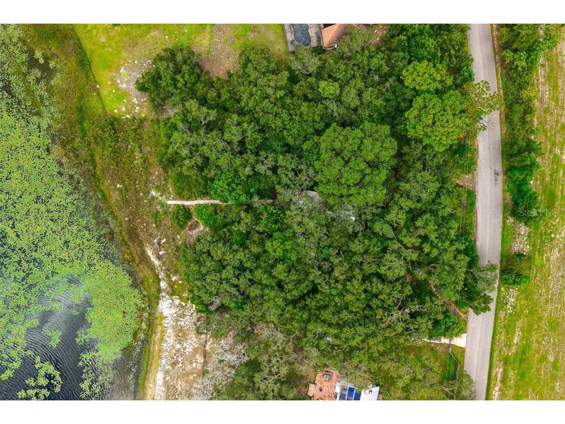 17226 Lake Ingram Road Winter Garden FL 34787 - LAKE INGRAM O6336040 image39