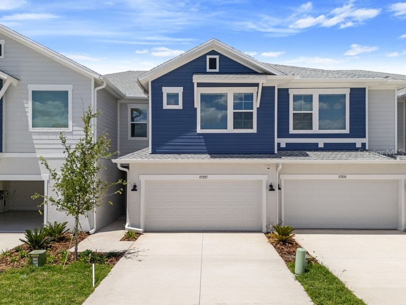 17227 Balance Cove Land O Lakes FL 34638 T3522569 image1