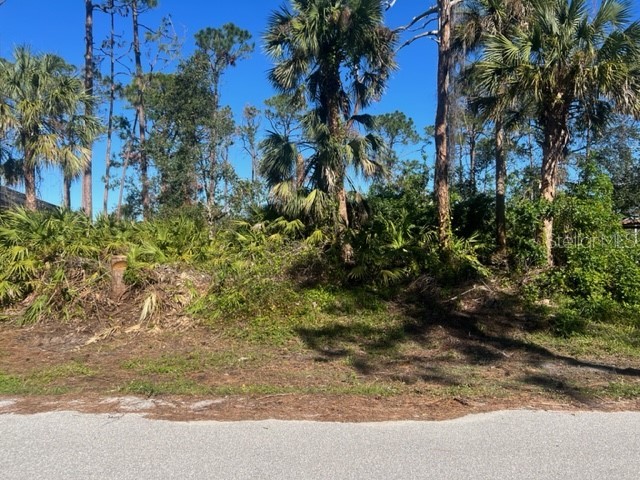 17228 Russell Avenue Port Charlotte FL 33954 C7469729 image1