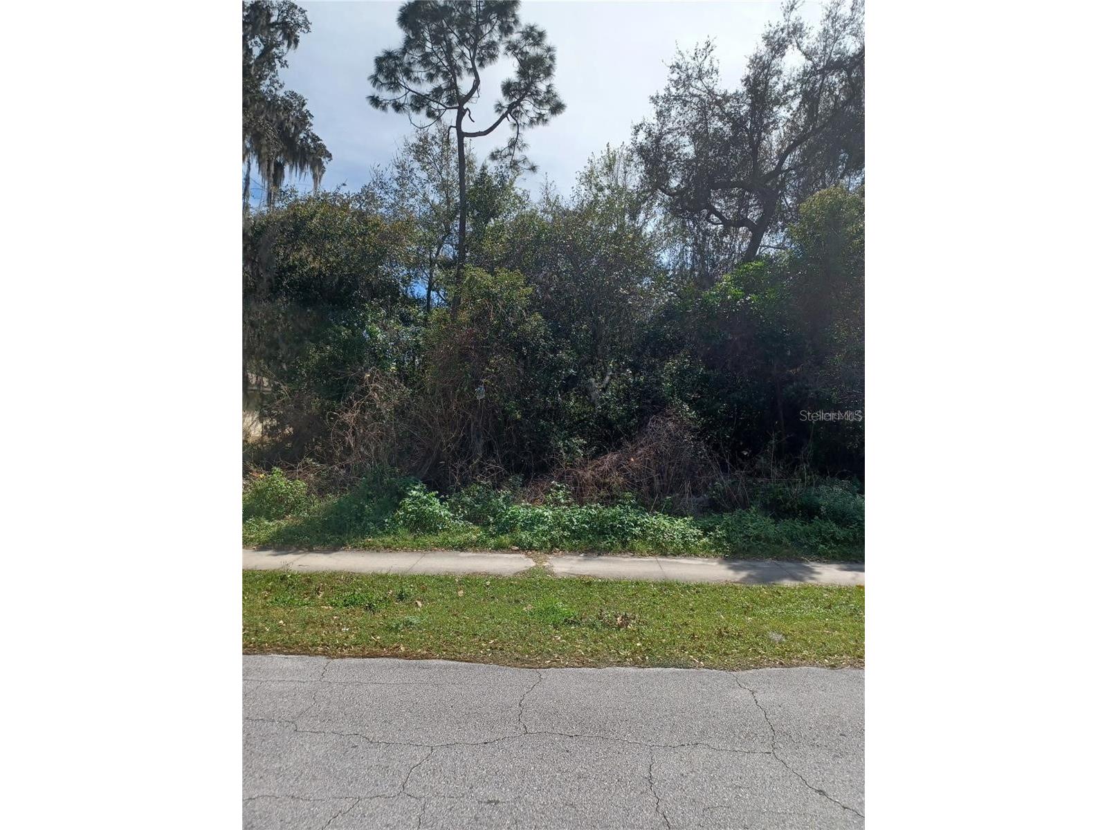1723 2nd Avenue Deland FL 32724 O6381595 image1