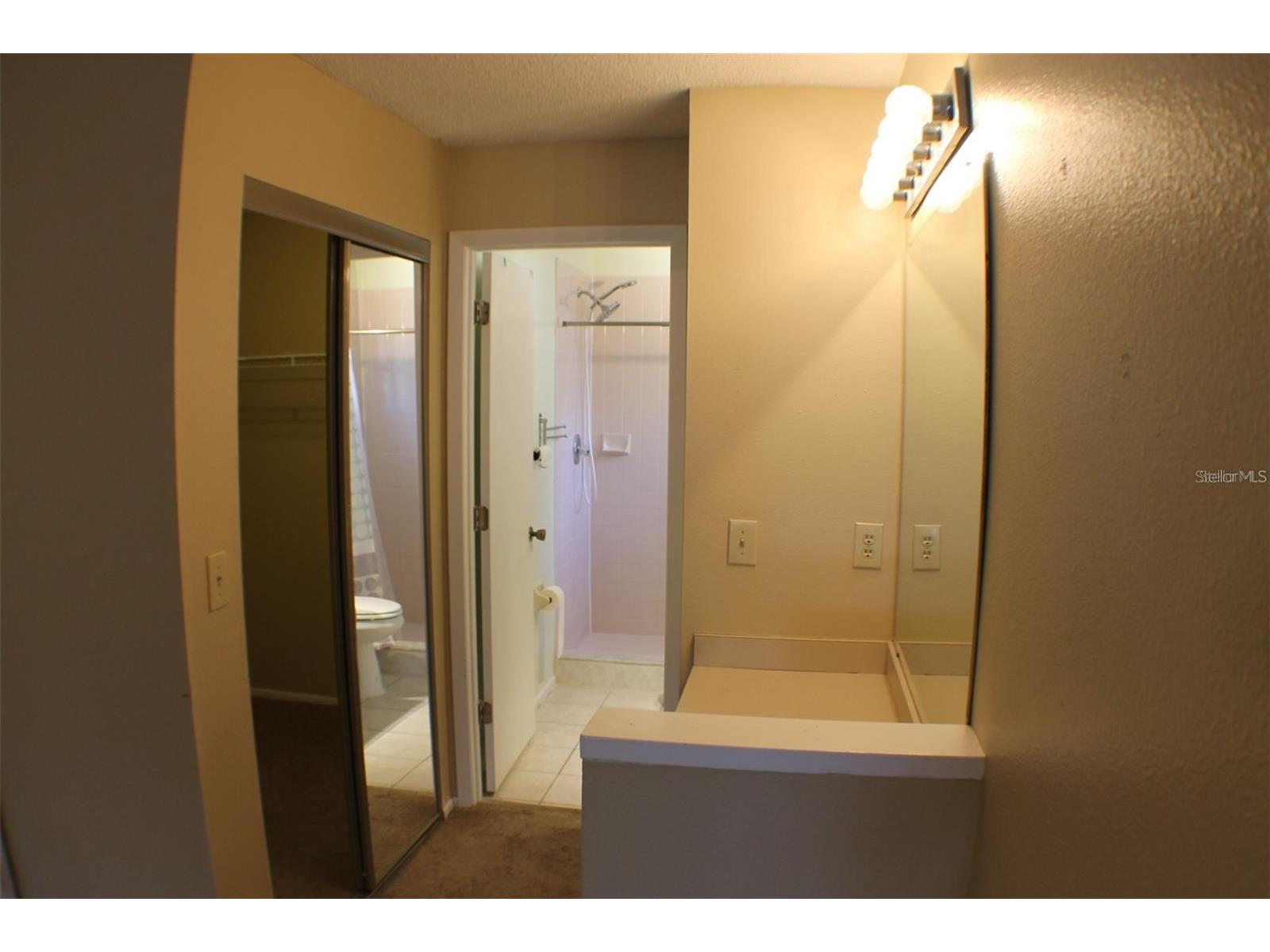 1723 Bell Ranch Street Brandon FL 33511 TB8490206 image11