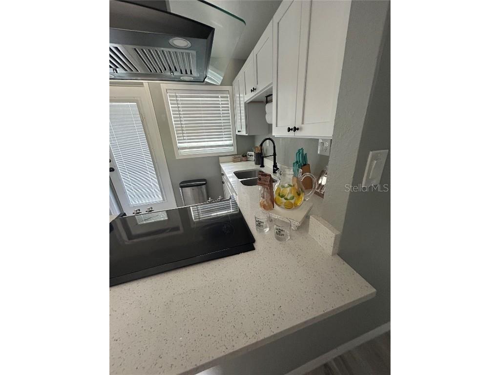 1723 Bush Avenue Lakeland FL 33805 R4909875 image13