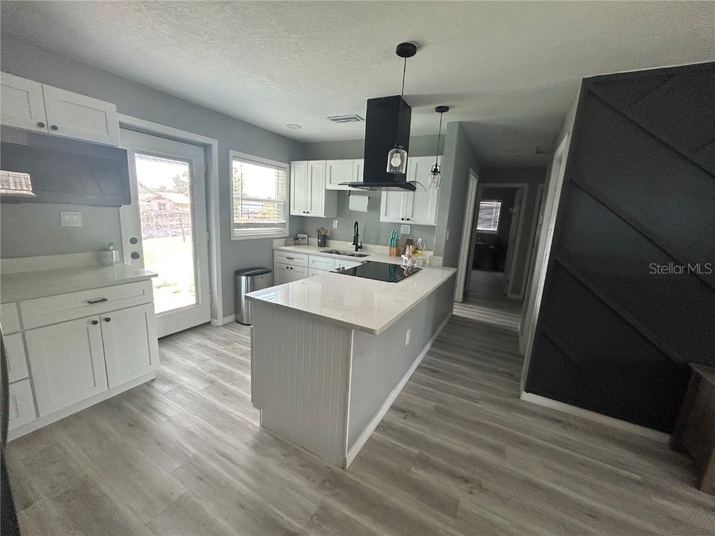 1723 Bush Avenue Lakeland FL 33805 R4909875 image22