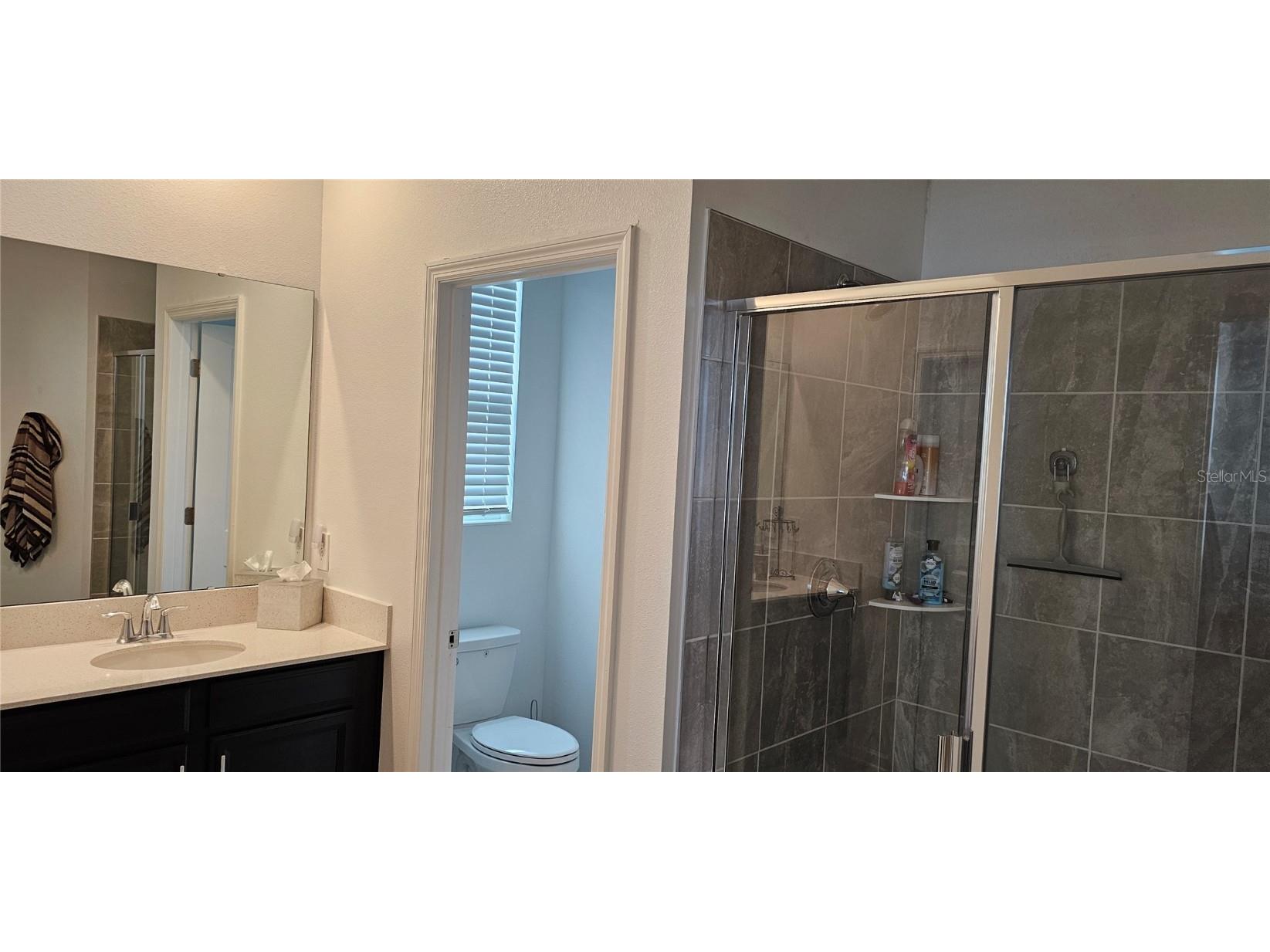 1723 Happiness Row Kissimmee FL 34744 G5093378 image29