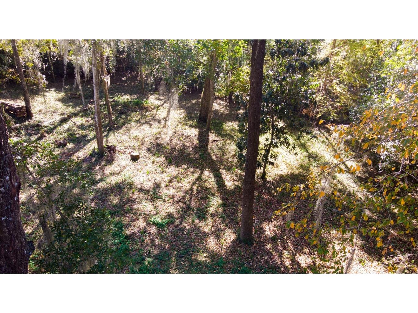 1723 NW 14th Avenue Gainesville FL 32605 GC526277 image10