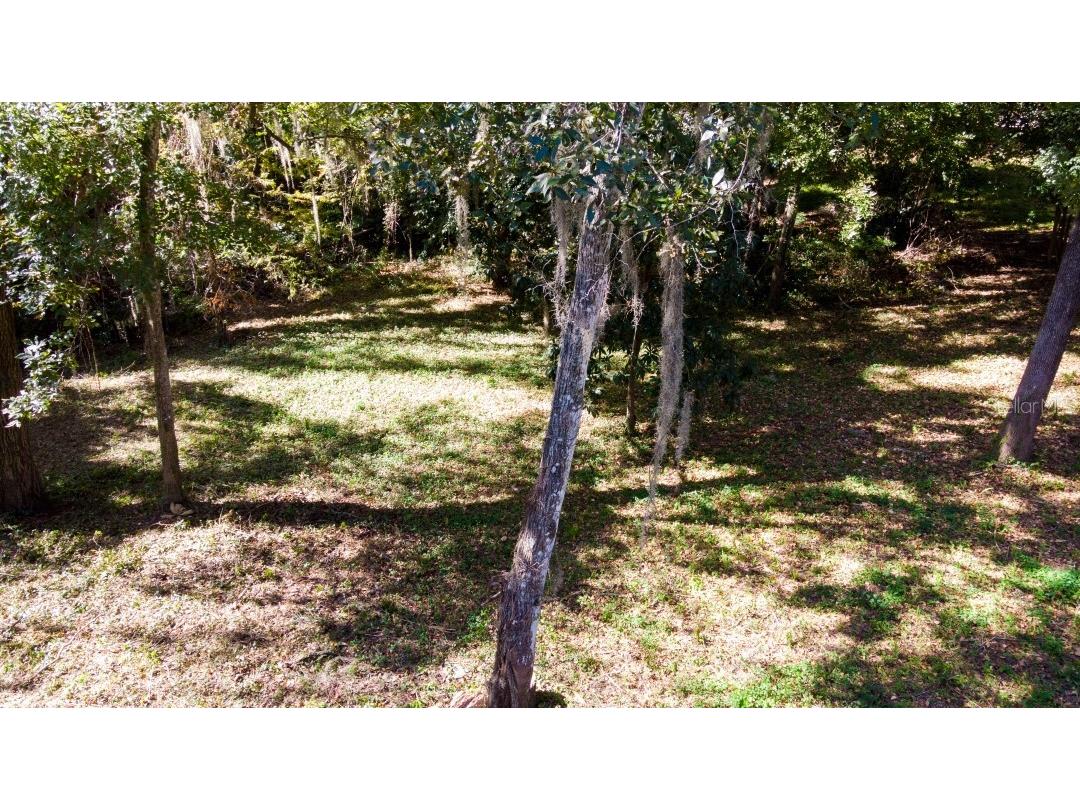 1723 NW 14th Avenue Gainesville FL 32605 GC540066 image15