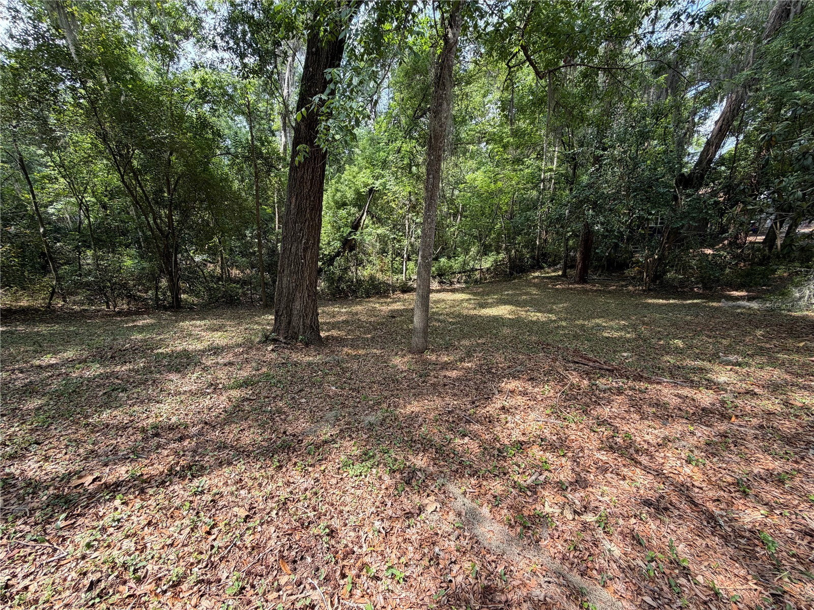 1723 NW 14th Avenue Gainesville FL 32605 GC540066 image8