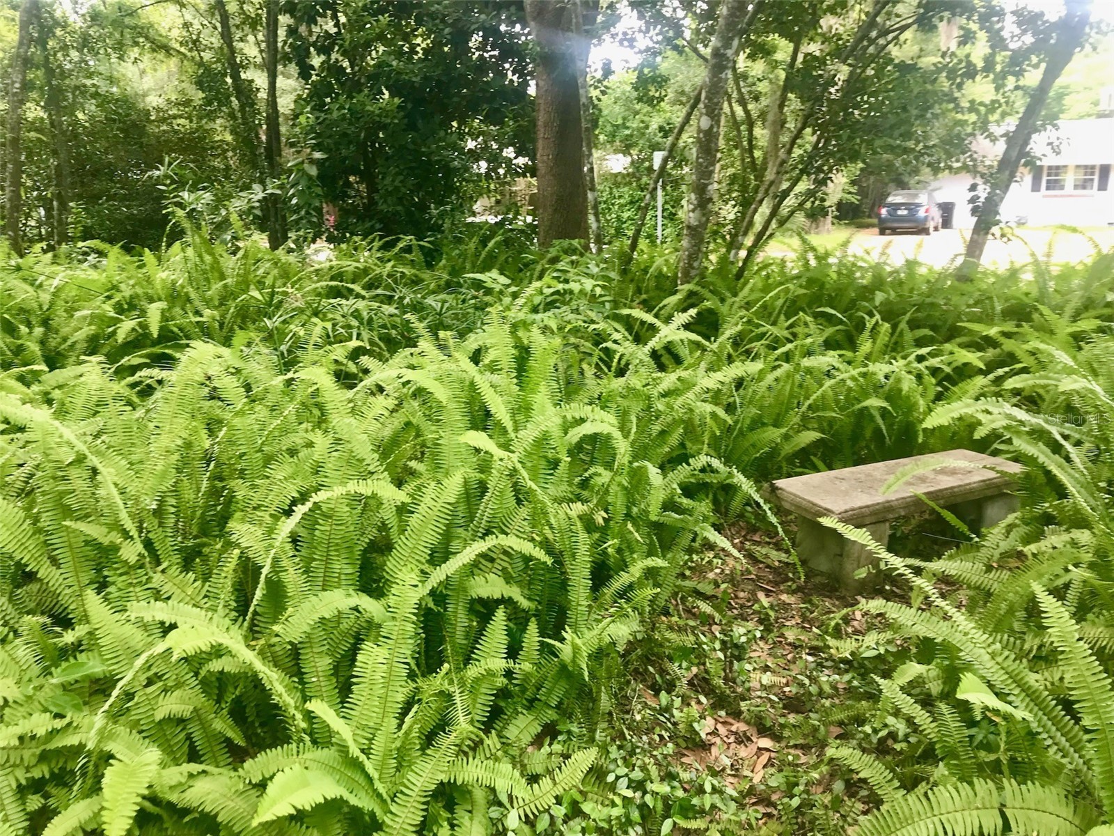 1723 NW 7th Avenue Gainesville FL 32603 GC538569 image35